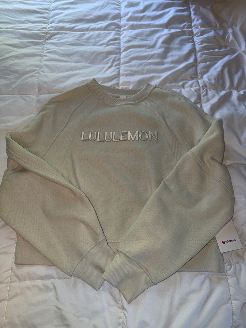 NWT SOLD OUT Lululemon Scuba Oversized Pullover in BONE